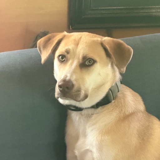 Norris Johnson profile photo