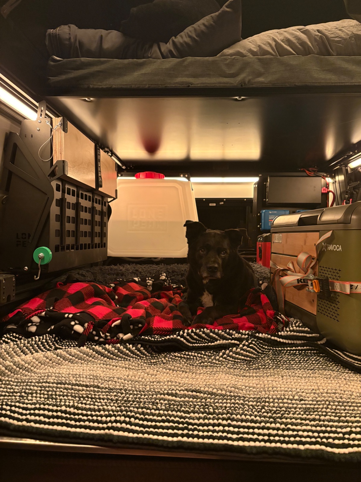 Black dog resting on red plaid blanket inside a camper van with storage compartments, water jug, and gear visible