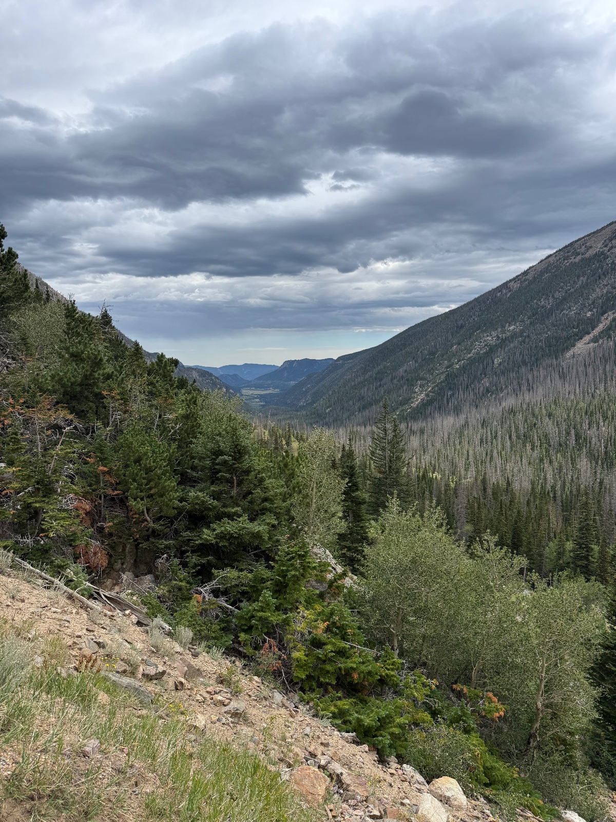 Mountain valley vista with forested slopes, rocky terrain in foreground, and dramatic cloudy sky overhead showing coniferous forest landscape