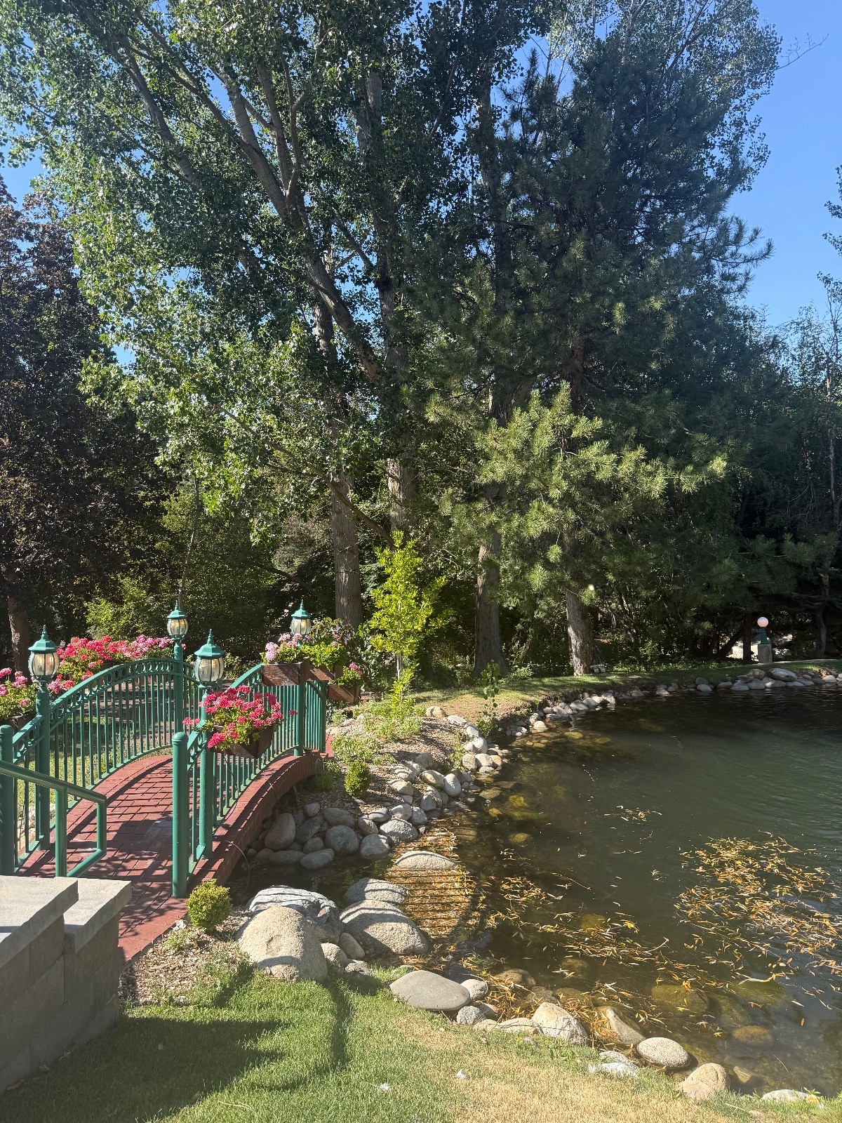 A red wooden arched bridge with green railings and lanterns spans a clear stream, surrounded by tall evergreen and deciduous trees in a serene riverside park setting