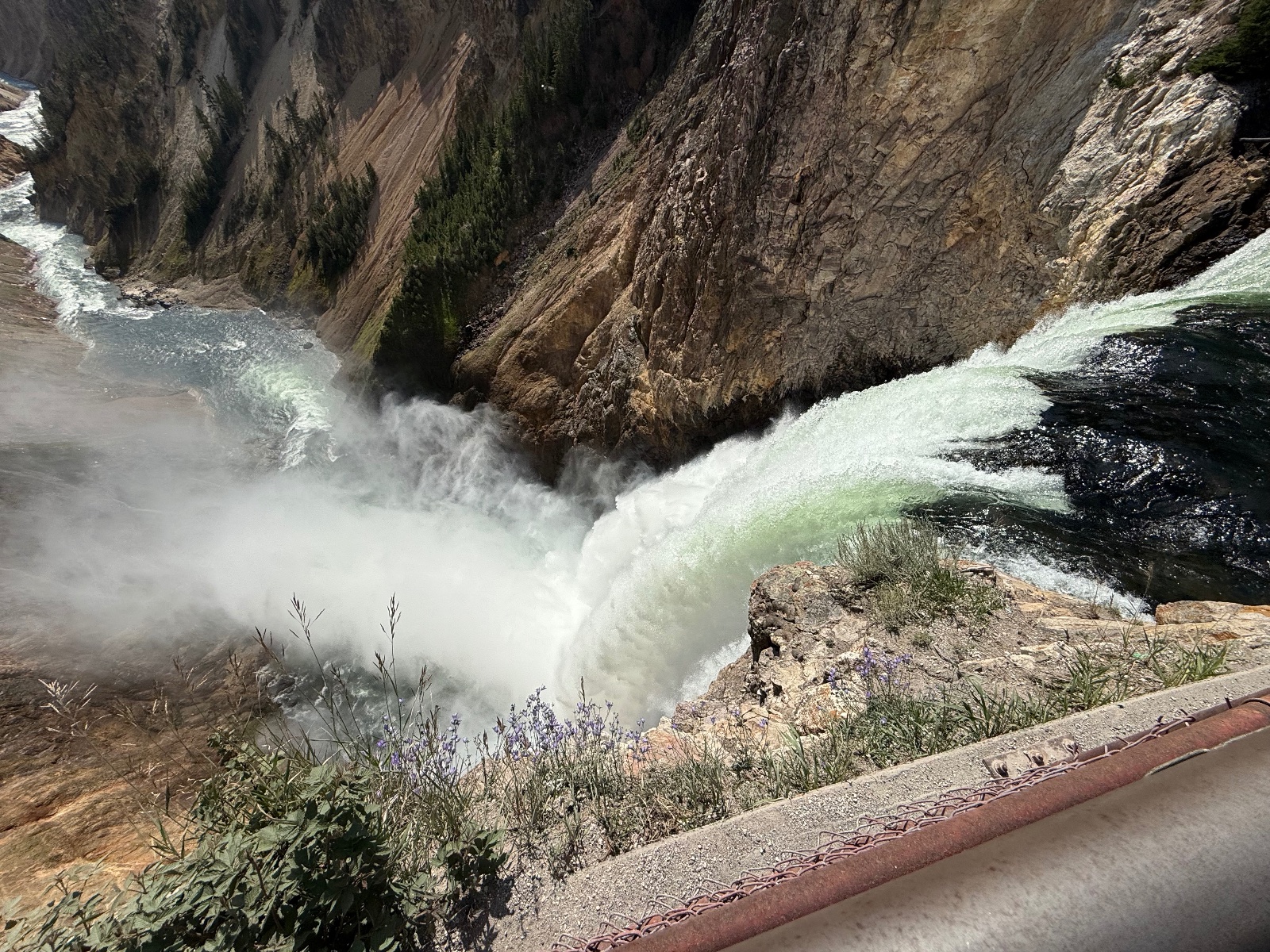 Powerful waterfall cascading down rocky canyon walls with mist spray, evergreen forest clinging to steep terrain, and wildflowers in foreground