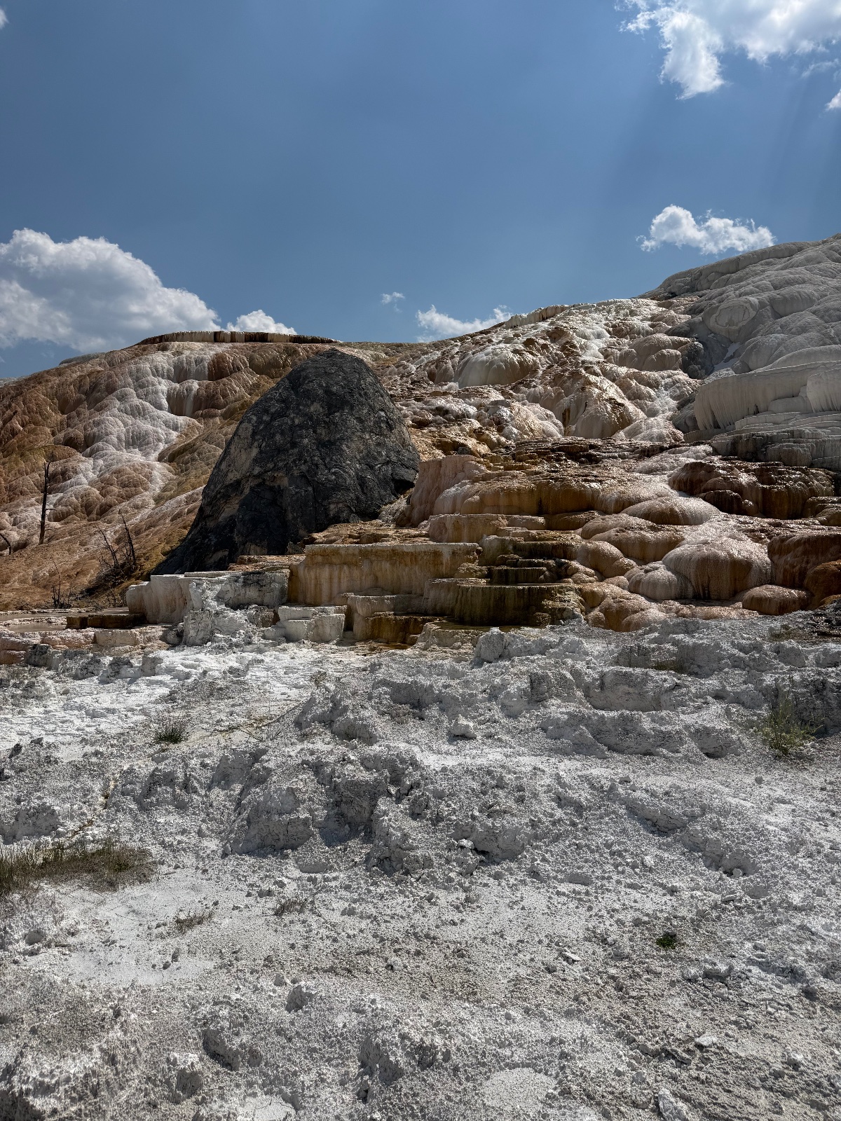 Mammoth Hot Springs terraces in Yellowstone National Park with layered mineral deposits, travertine formations, and clear blue sky
