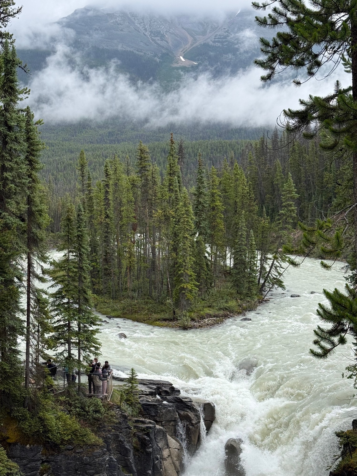 Hikers viewing a turbulent glacial river from a rocky overlook surrounded by coniferous forest with misty mountains in the background