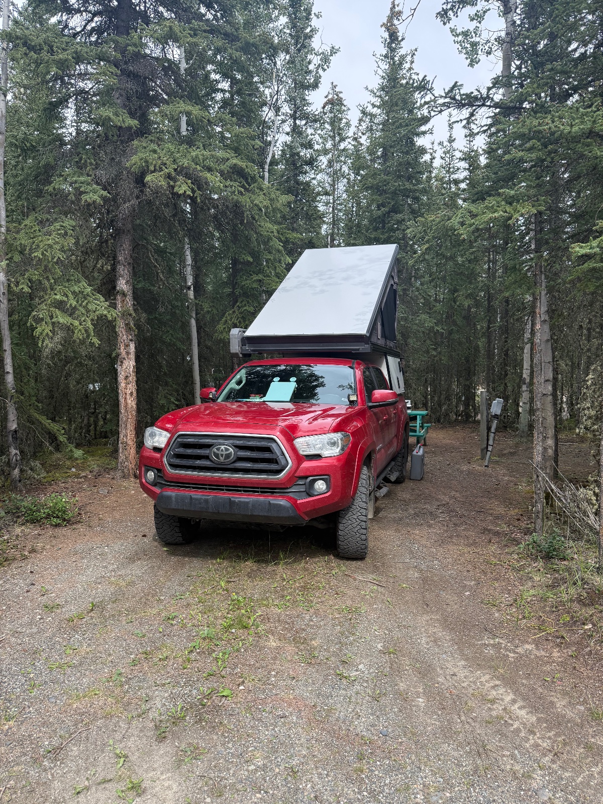 Red Toyota Tacoma with pop-up roof tent parked in a forest campsite surrounded by tall evergreen trees on a dirt road
