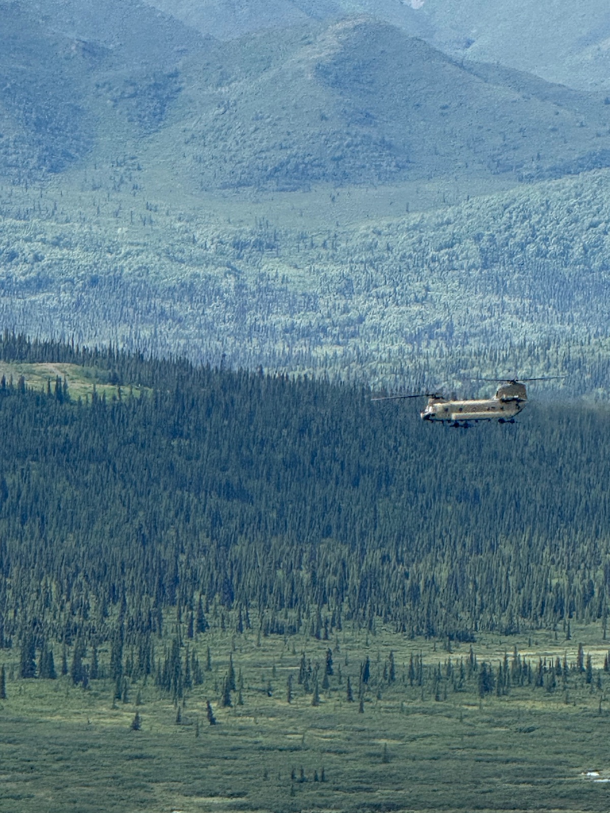 CH-47 Chinook helicopter flying over coniferous forest valley with mountains and alpine meadow in background