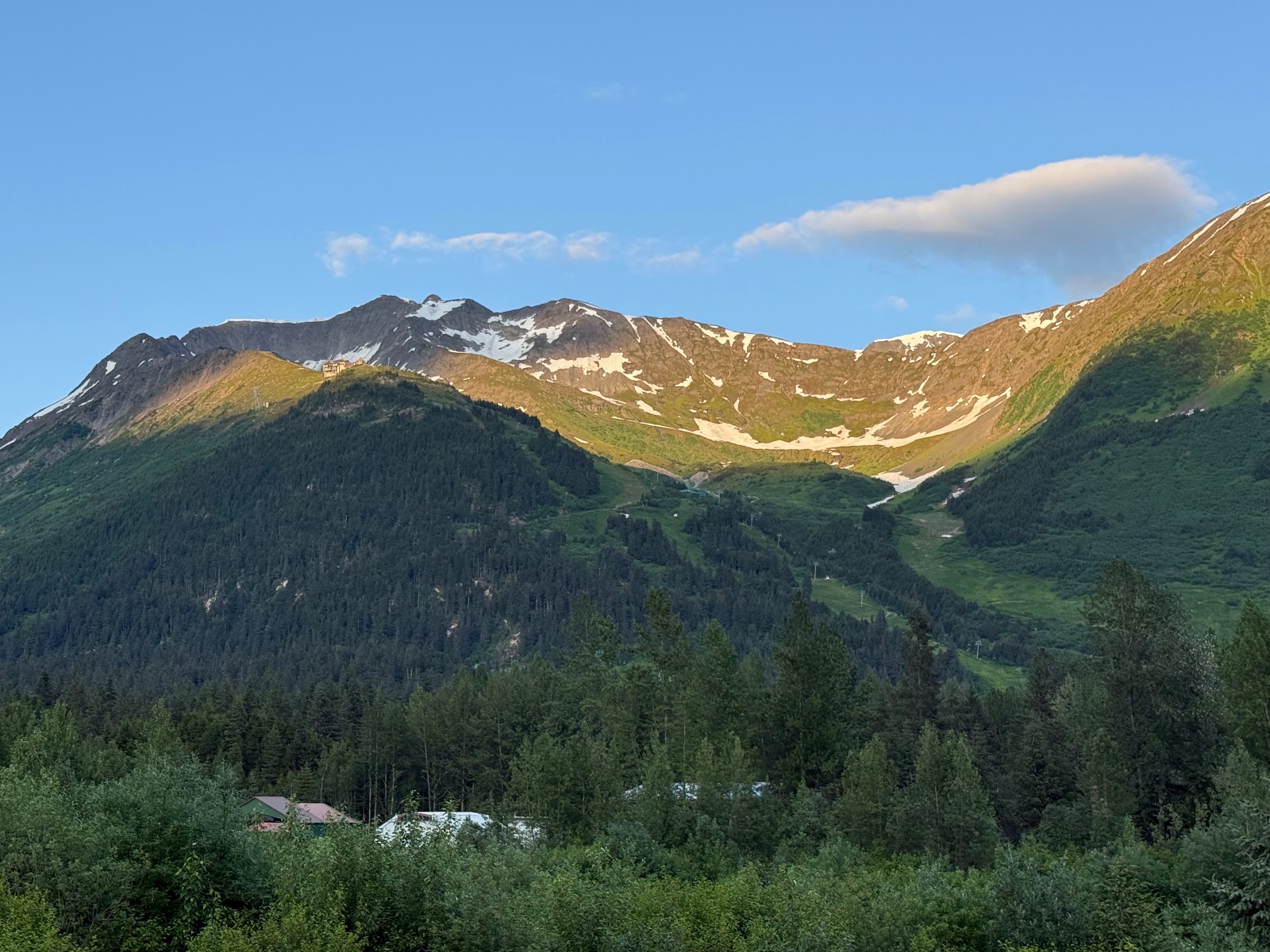 Alpine valley with dense coniferous forest, mountain peaks with patches of snow, and green meadows under clear blue sky