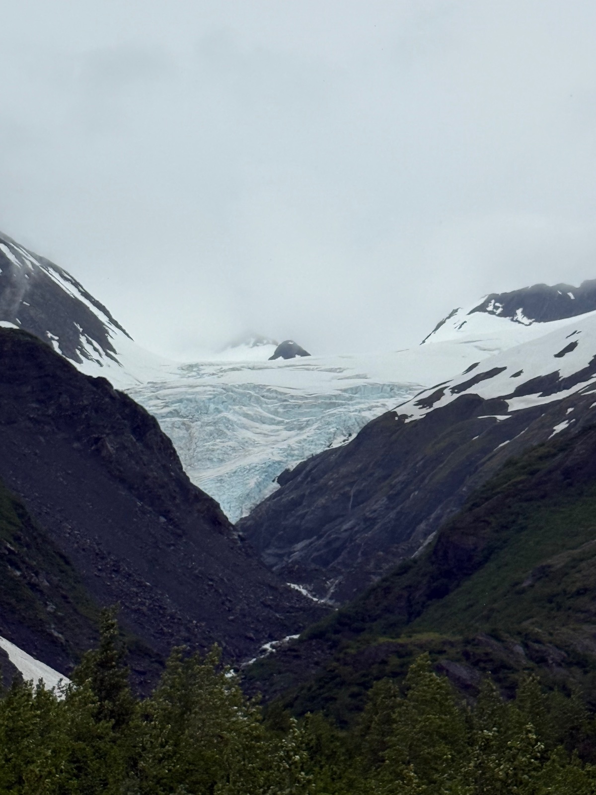 Valley glacier and snow-capped peaks viewed from a forested mountain pass with a glacial stream running through the dark rocky canyon