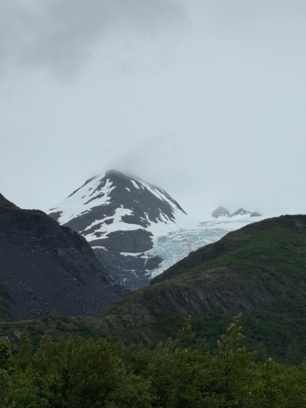 Snow-capped volcanic mountain with glacier visible beyond forested valley under overcast sky
