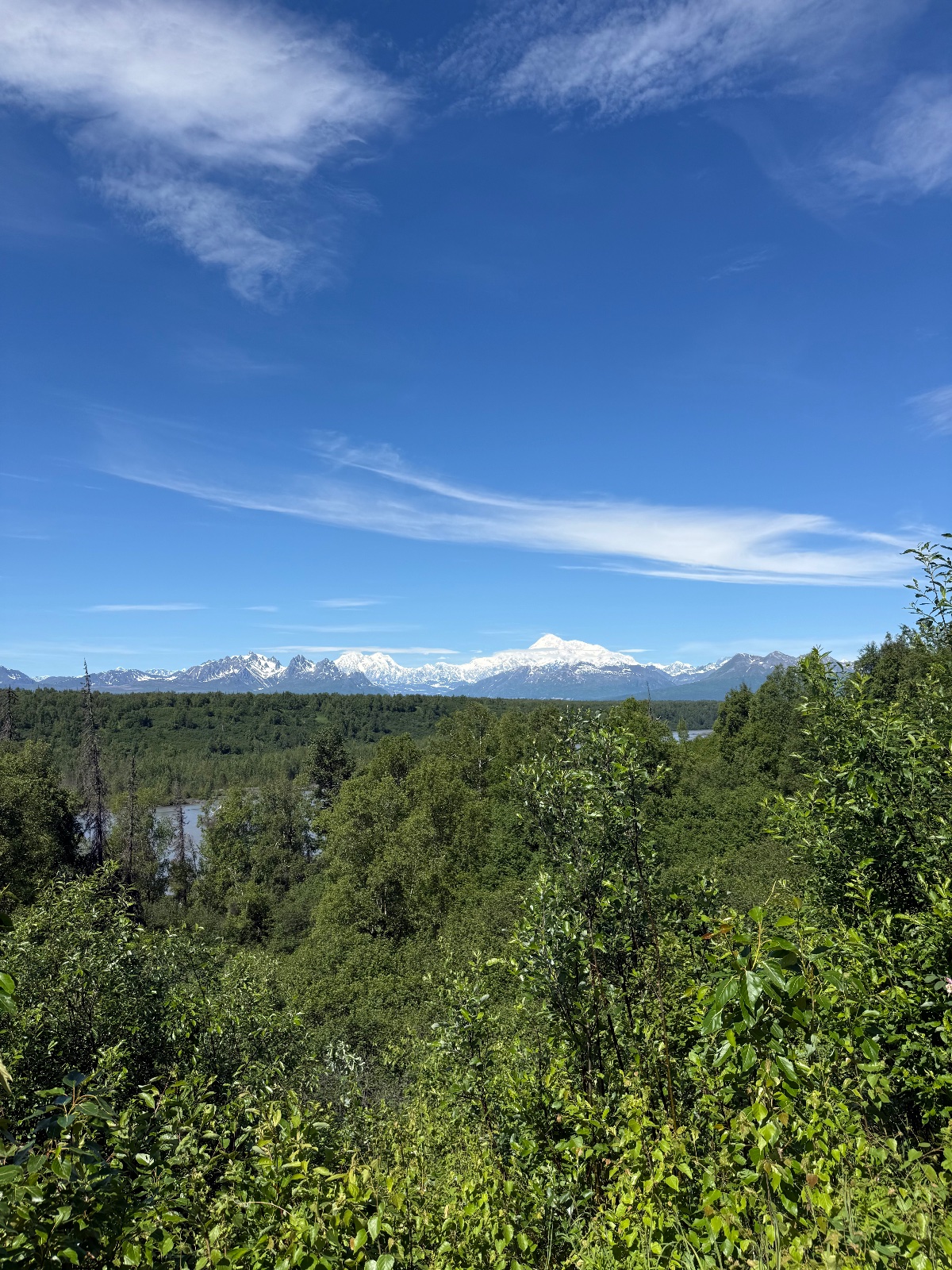 Snow-capped mountain range visible across forested valley with river winding through dense boreal forest under clear blue sky