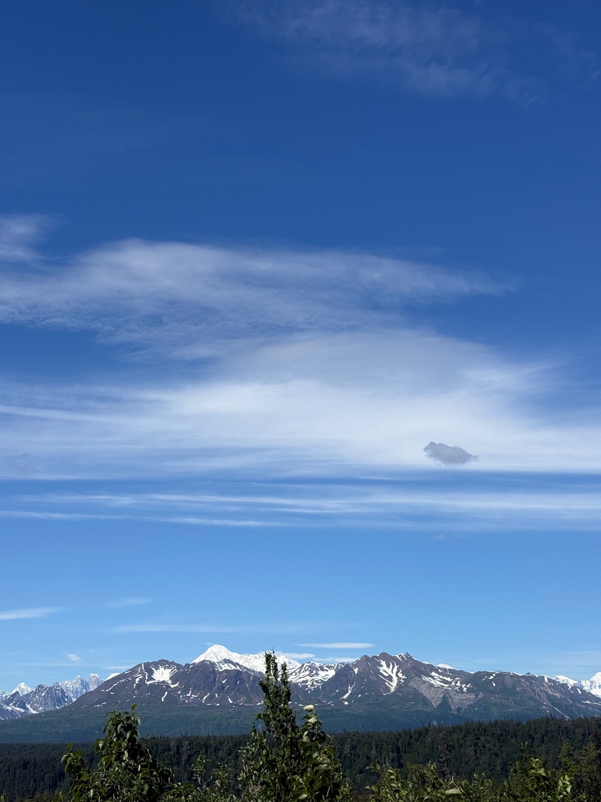 Snow-capped mountain with forested slopes under clear blue sky, viewed from a high vantage point with evergreen trees in foreground