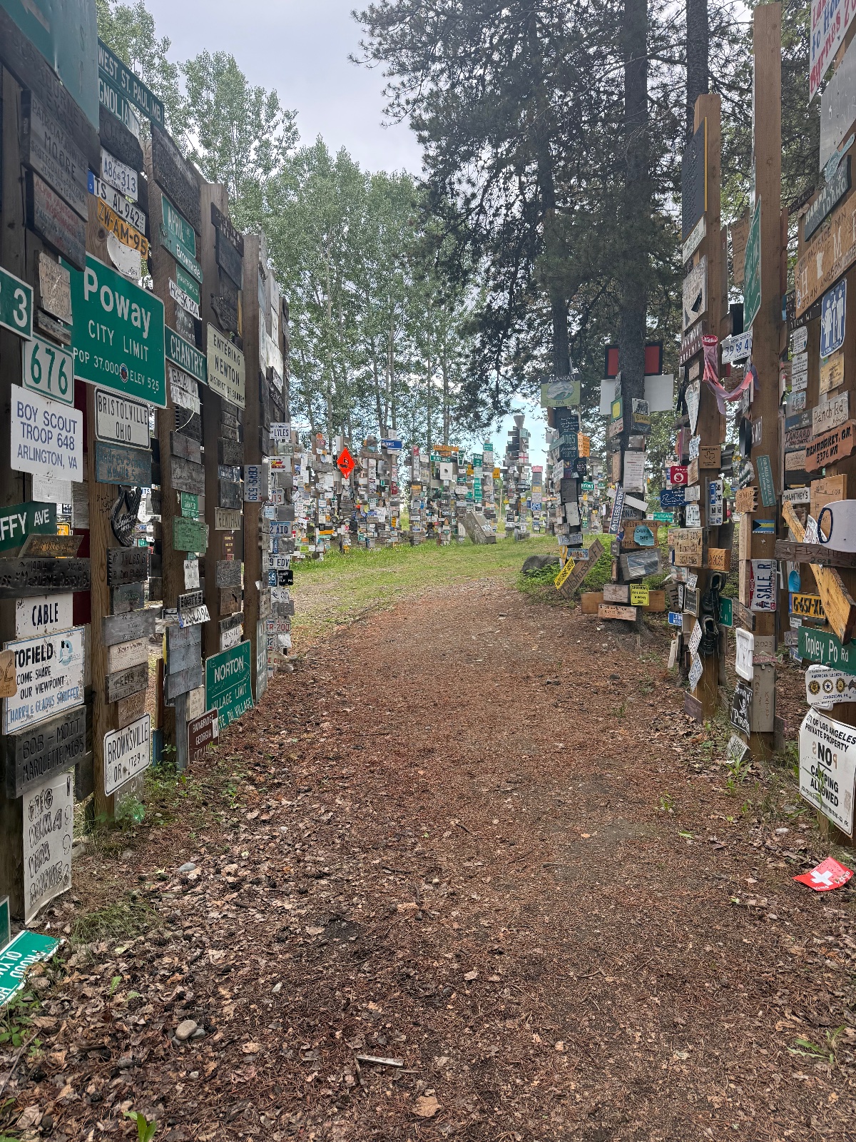 Tree-lined forest path covered with stickers and signs on wooden poles creating a tunnel effect, with overcast sky visible overhead