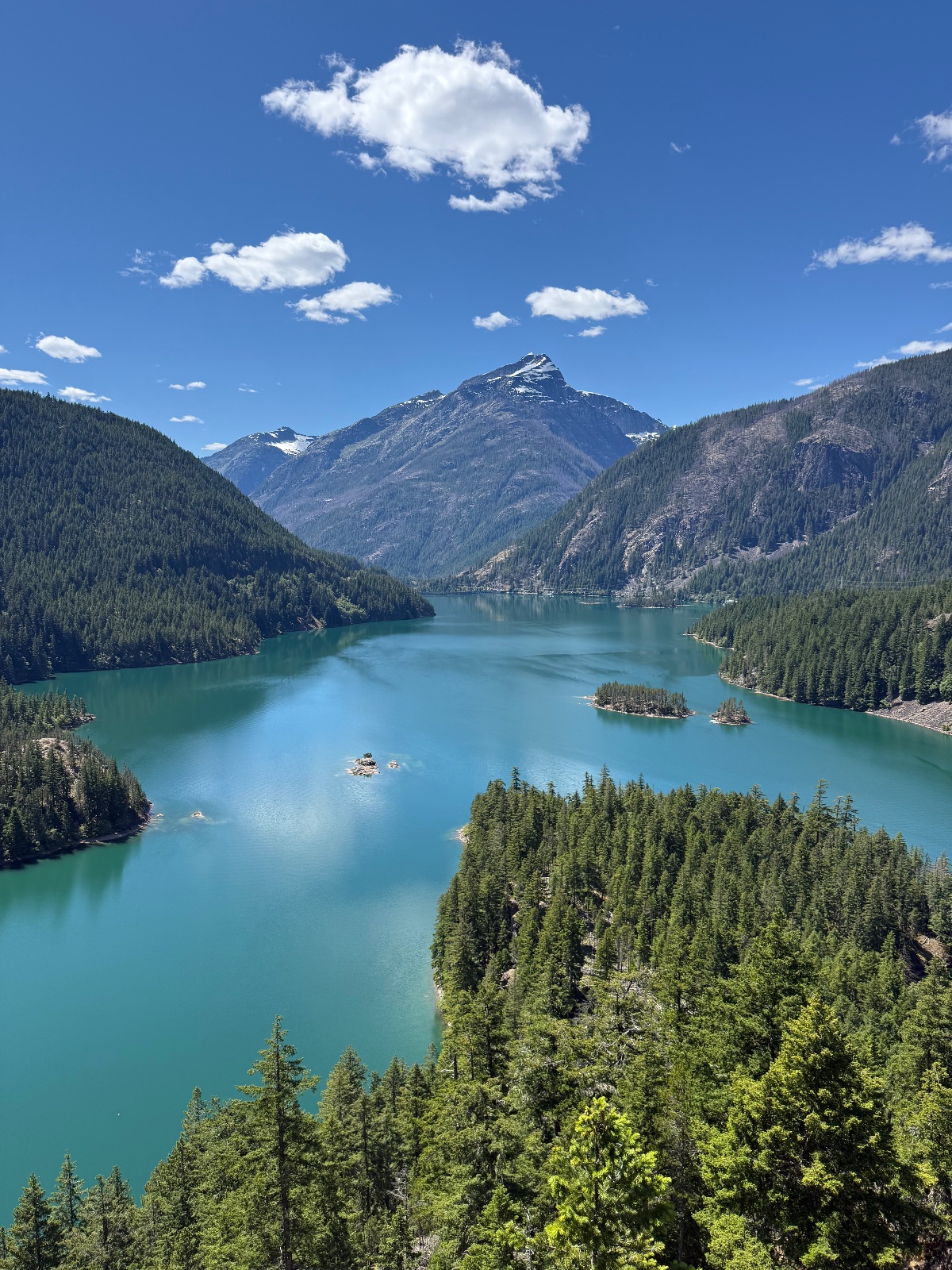 Turquoise alpine lake surrounded by dense evergreen forests and snow-capped mountains under clear blue sky with white clouds