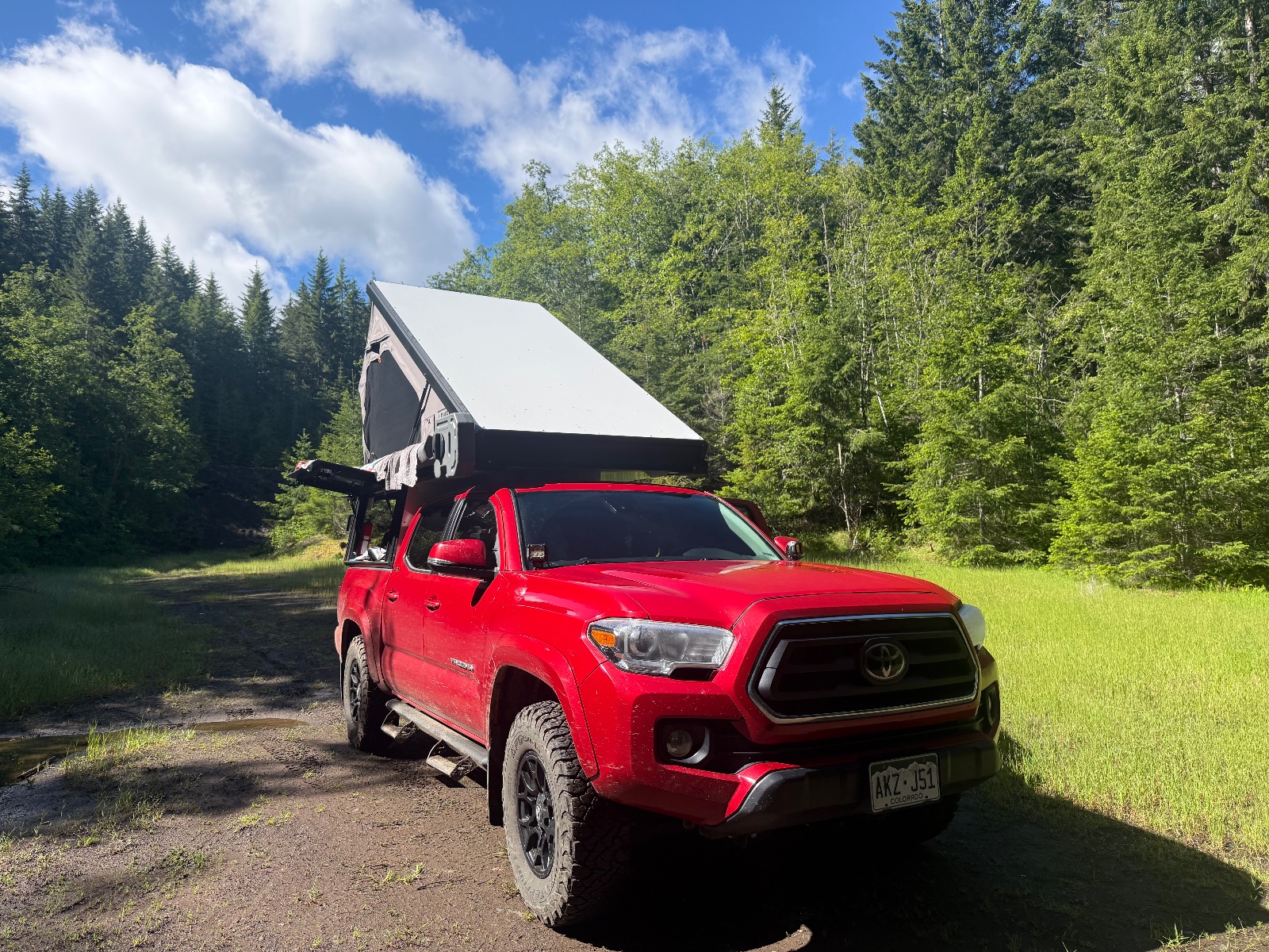Red Toyota Tacoma with roof-mounted tent parked on a forest road surrounded by evergreen and birch trees under blue sky