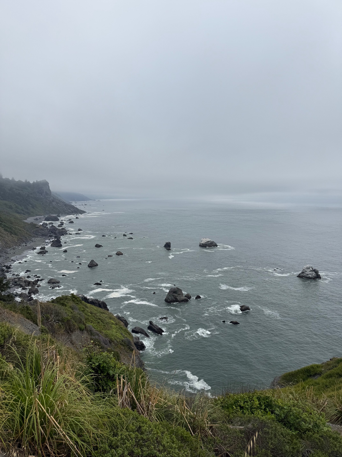 Misty coastal headland with rocky outcrops and forested cliffs overlooking a temperate ocean bay with breaking waves