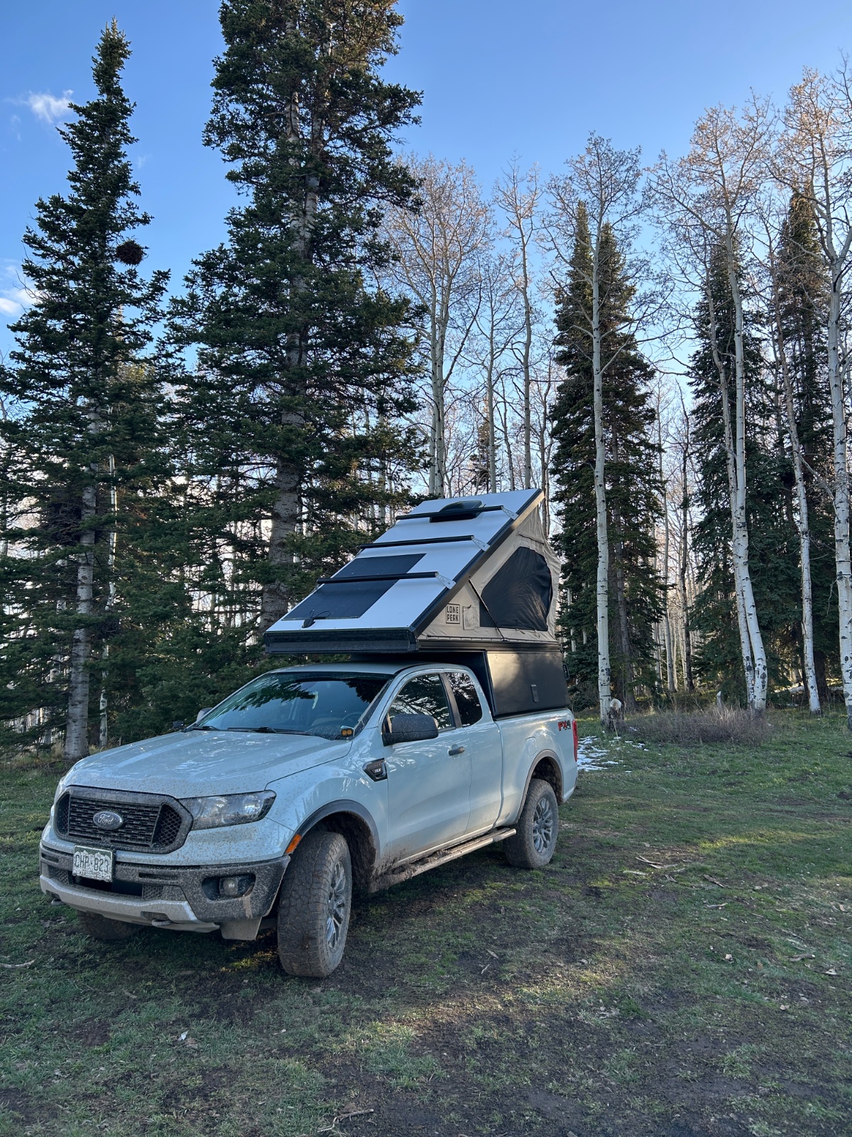 White Ford Ranger pickup truck with roof-mounted pop-up tent camper parked among birch and evergreen trees on grass