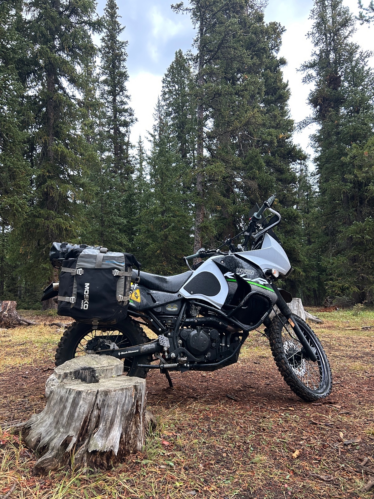 Black and white adventure motorcycle with green accents and packed saddlebags parked in a coniferous forest clearing with tree stumps