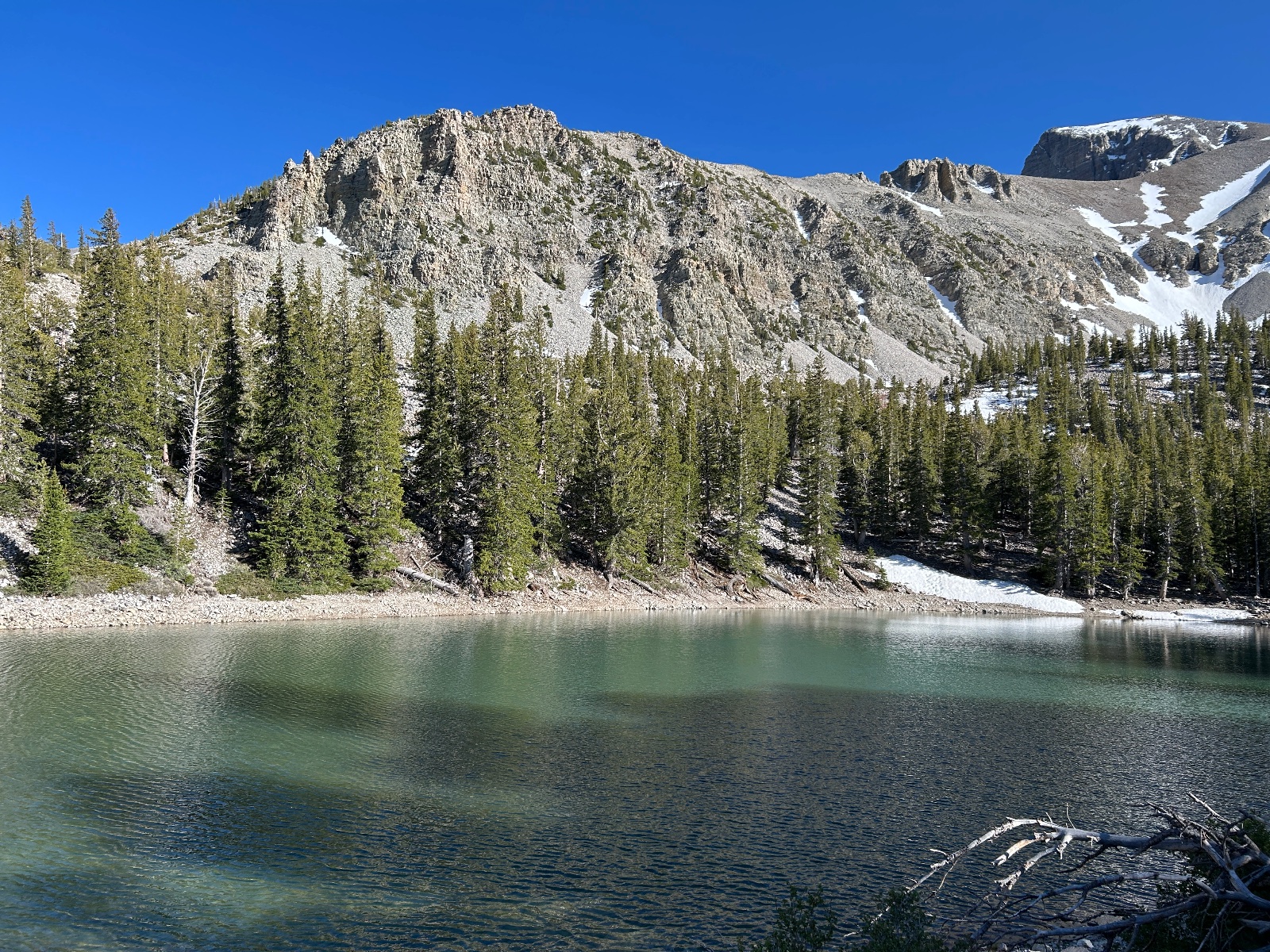 Alpine lake with turquoise water surrounded by coniferous forest and rocky mountain peaks with patches of snow under clear blue sky