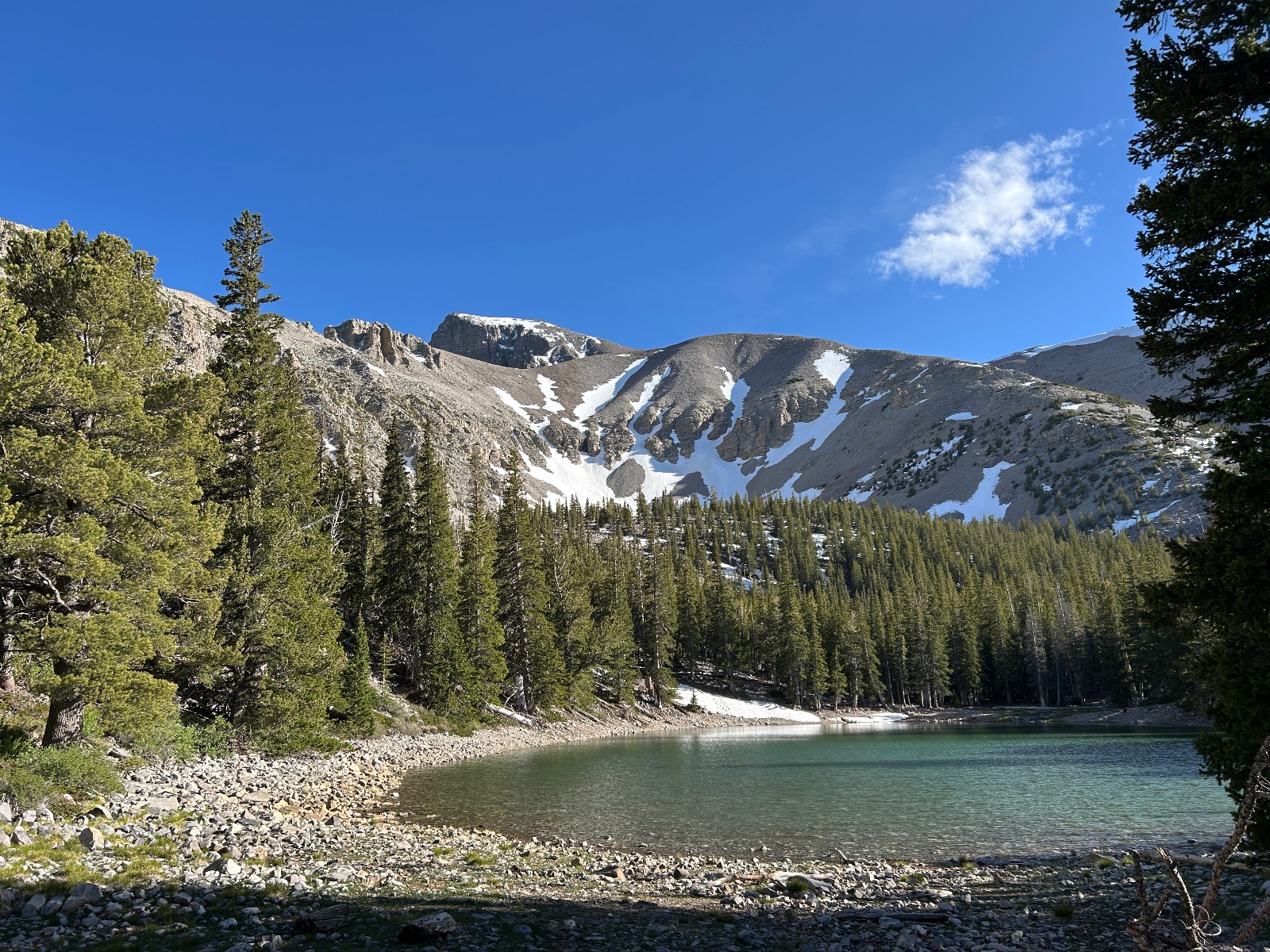 Alpine lake with turquoise water surrounded by coniferous forest, rocky shoreline, and snow-patched mountain peaks under clear blue sky