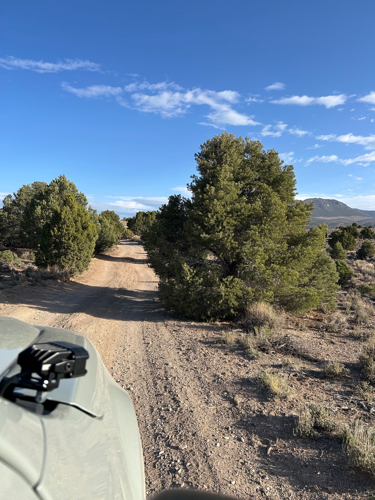 White vehicle on a rocky dirt road through desert terrain with cottonwood trees and mountains in the distance under clear blue sky