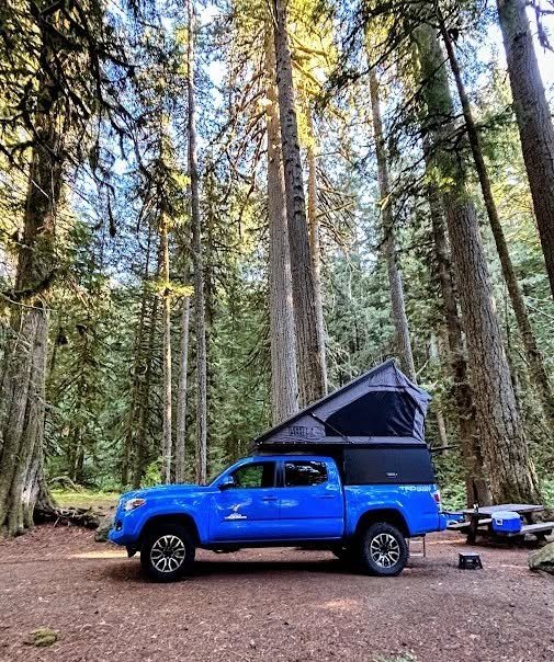 Blue Toyota Tacoma pickup truck with black roof tent parked in a forest campsite surrounded by tall evergreen trees and brown needles