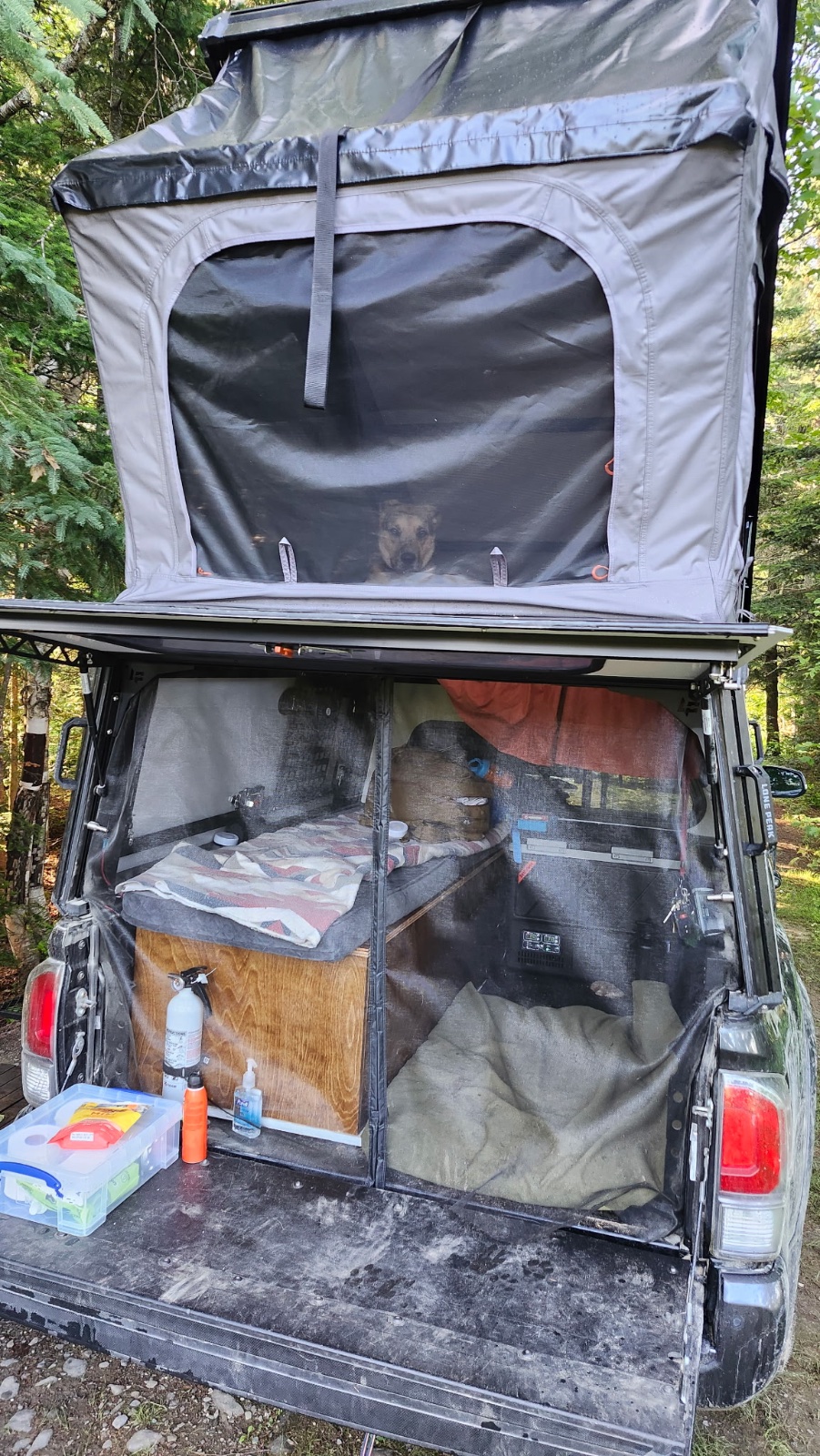 Rooftop tent camper setup on dark SUV showing open cargo area with bedding, storage, and camping gear among green forest surroundings