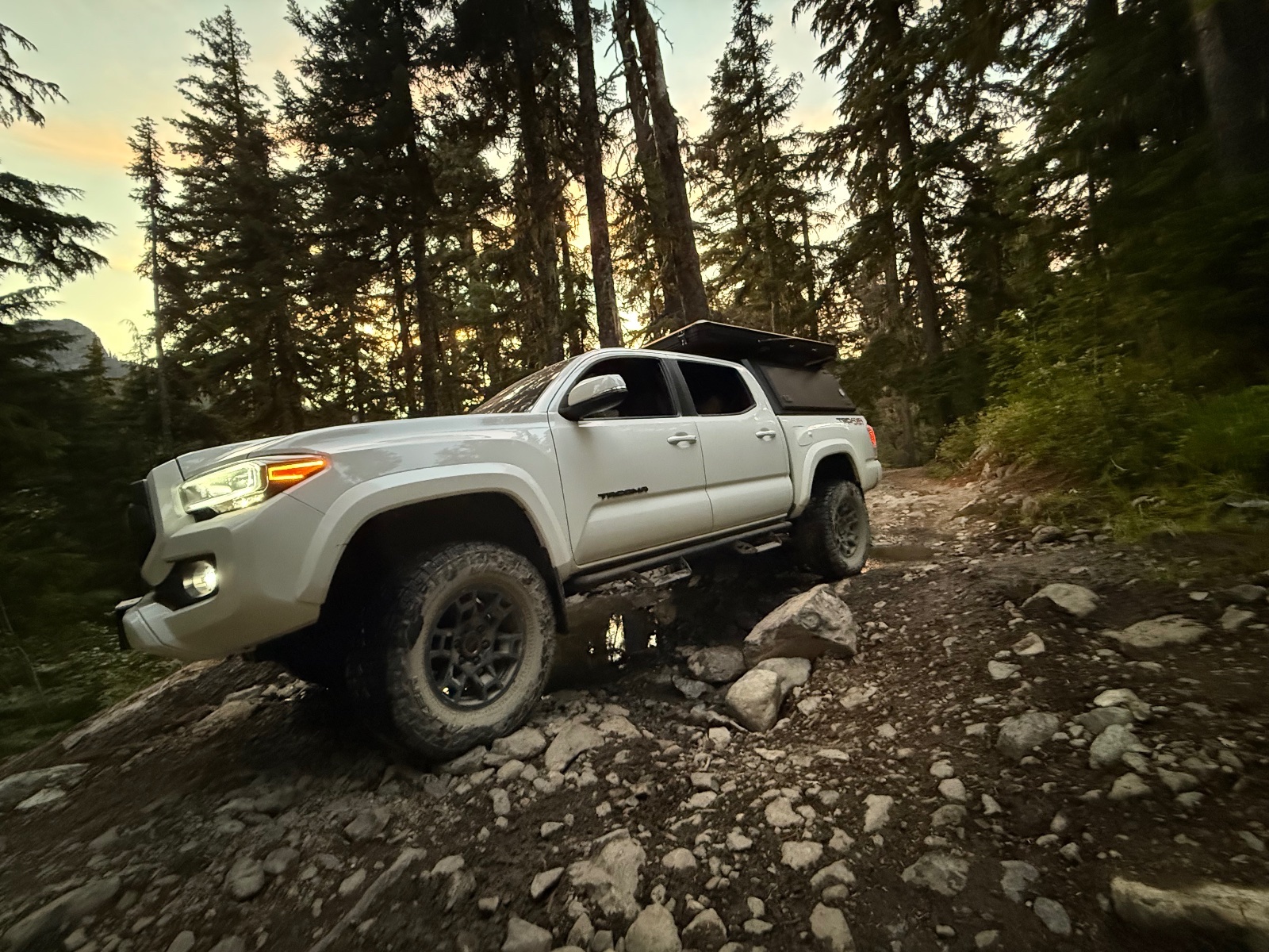 White Toyota Tacoma with roof rack parked on rocky mountain trail surrounded by tall evergreen forest at golden hour