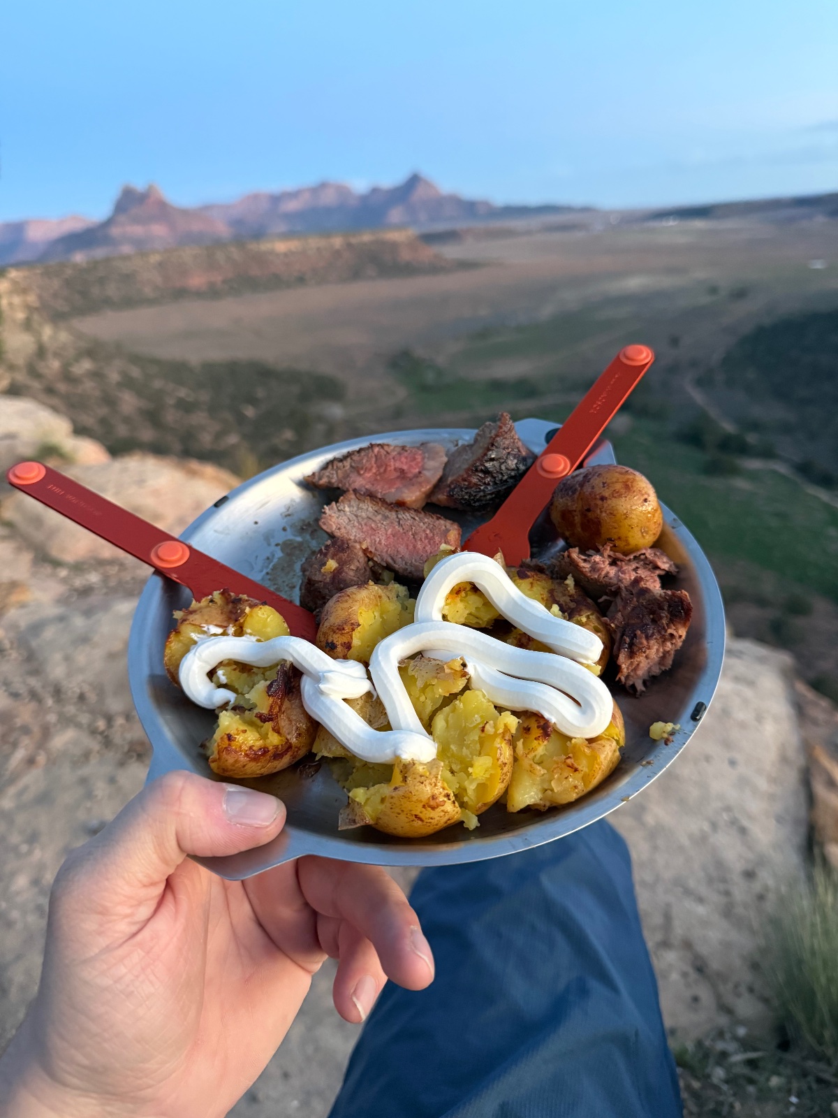 Hand holding a plate of grilled meat skewers and roasted potatoes with sour cream at a mountain overlook with red rock formations in background