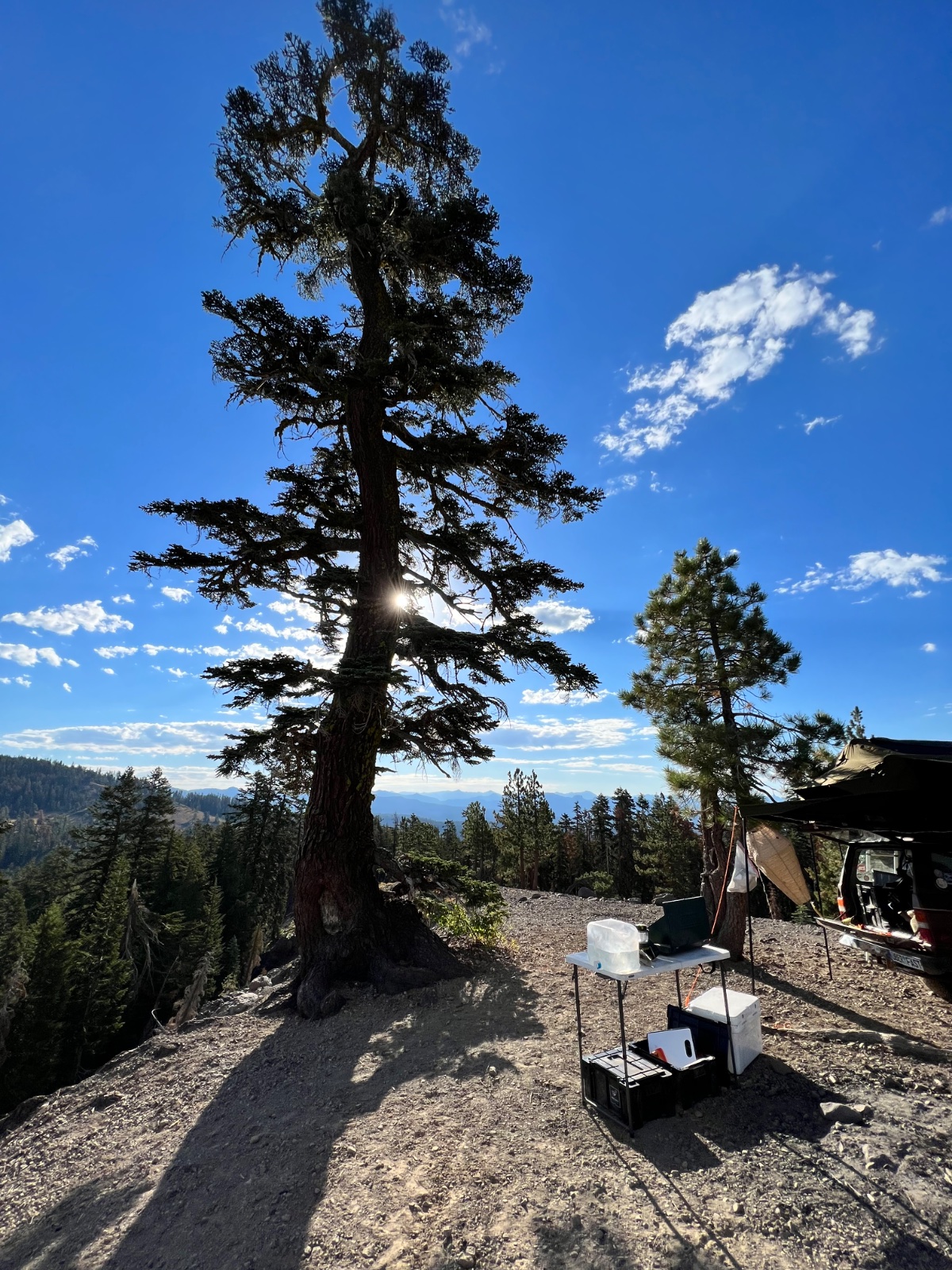 Mountain campsite with ancient gnarled tree, coolers and camp setup overlooking forested valley with distant peaks under blue sky