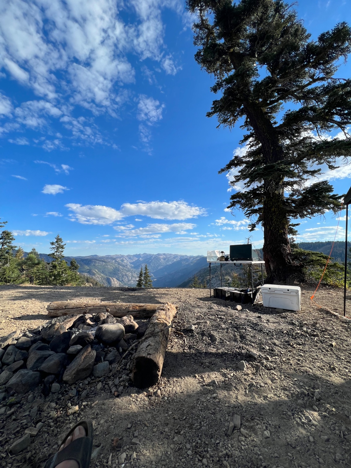 Overlanding setup with trailer and portable desk under a gnarled tree overlooking a vast mountain valley with clear blue skies