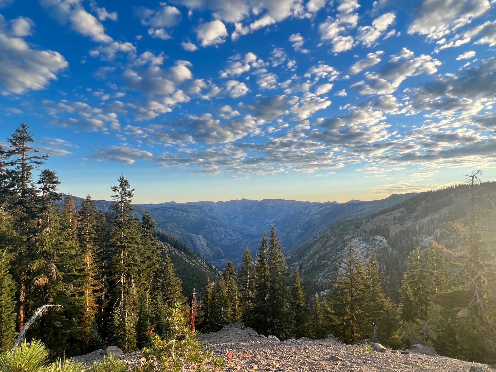 Alpine valley vista from pine forest overlook with mountain range, blue sky and white clouds at golden hour