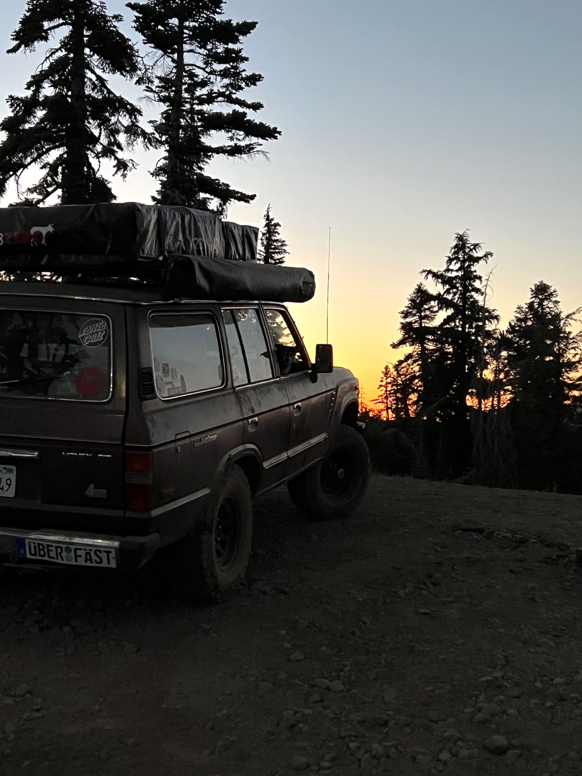 Dark Land Rover Discovery van with roof rack parked on dirt road at sunset, surrounded by tall coniferous forest and mountains in background