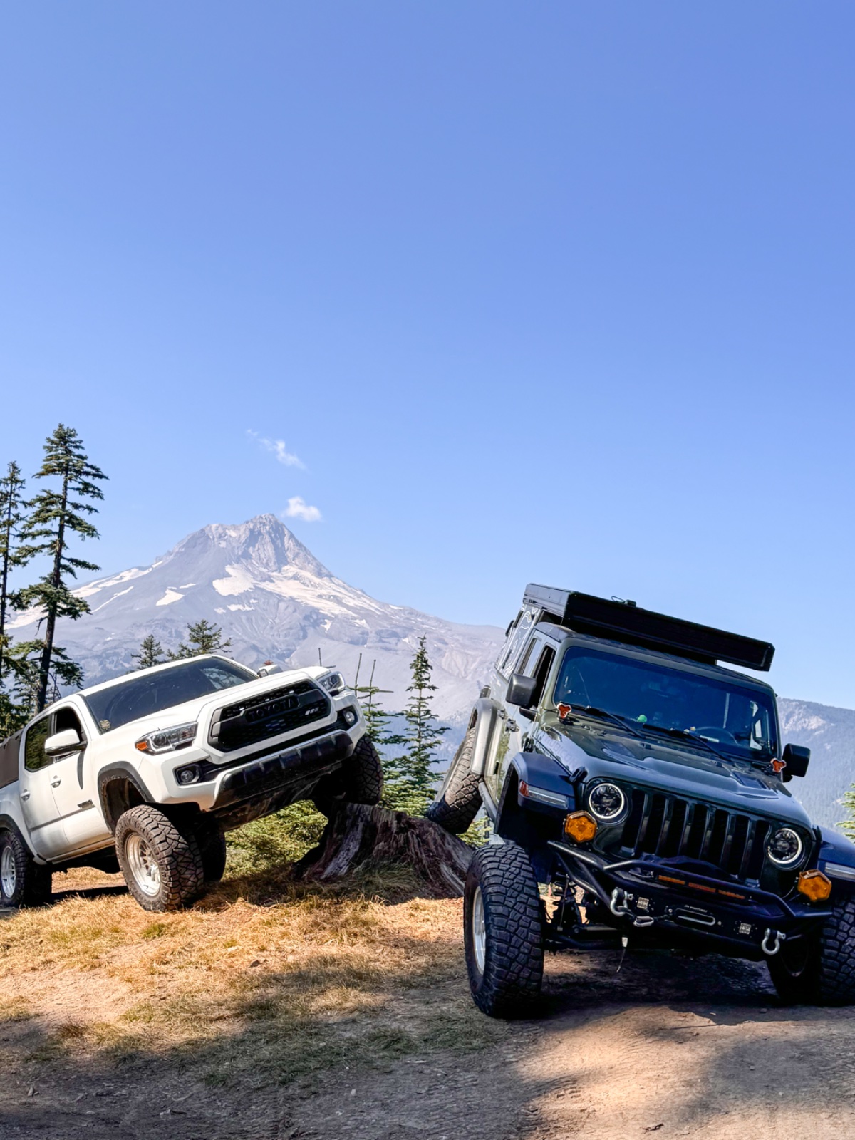 White Toyota Tacoma and blue Jeep Wrangler parked on a mountain overlook with snow-capped Mount Hood in the background under clear skies