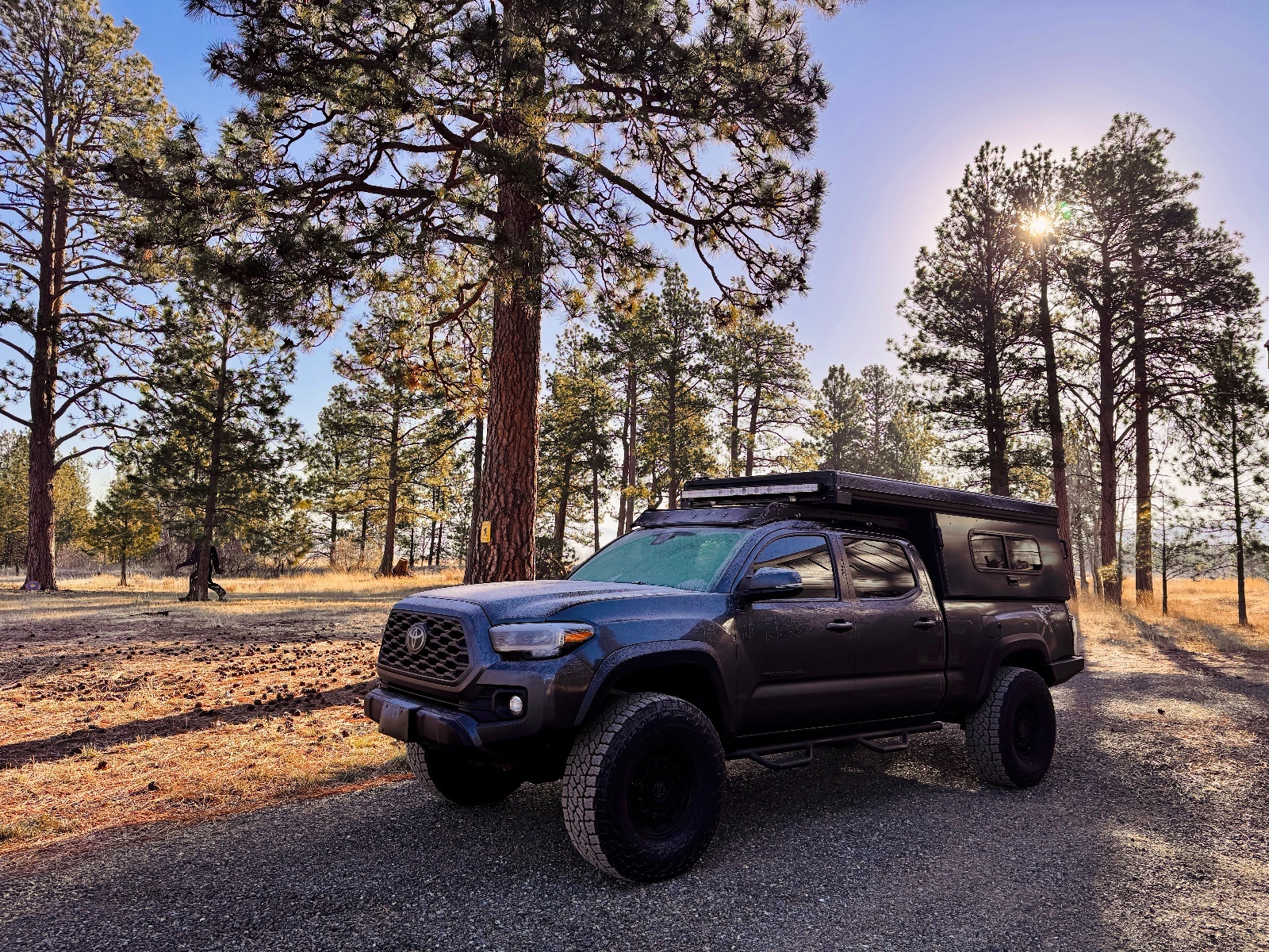 Stealth  overlanding build