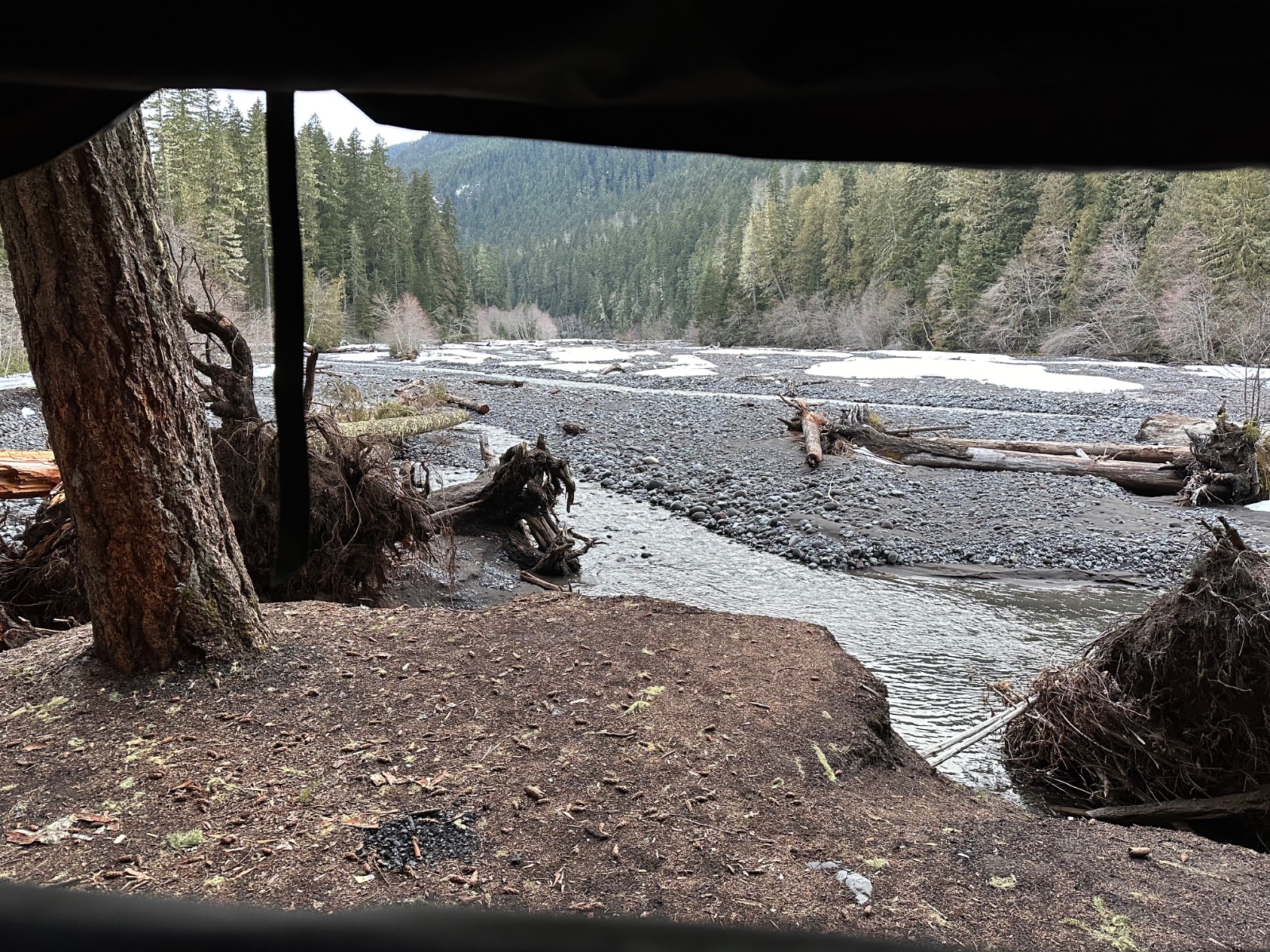 View from under a large tree overlooking a rocky riverbed with flowing water, surrounded by dense coniferous forest and mountains in background